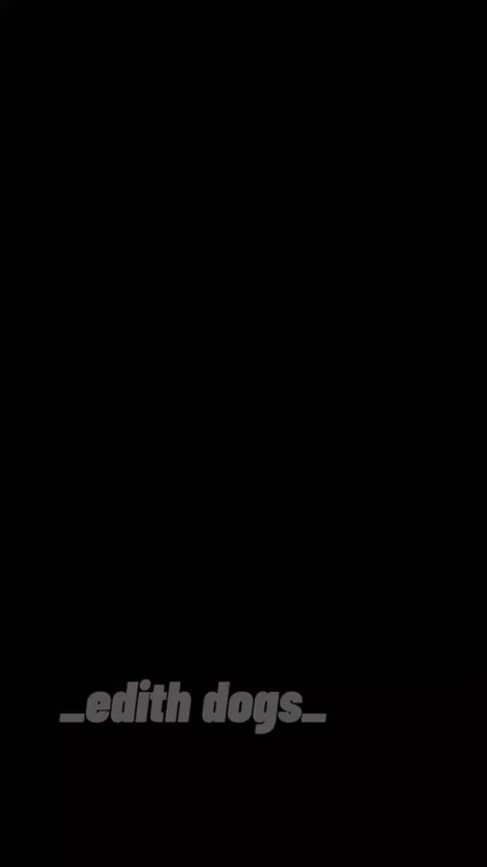 TikTok video thumbnail by _edits_animals1