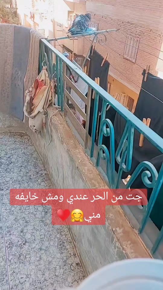 TikTok video thumbnail by moon.noon770