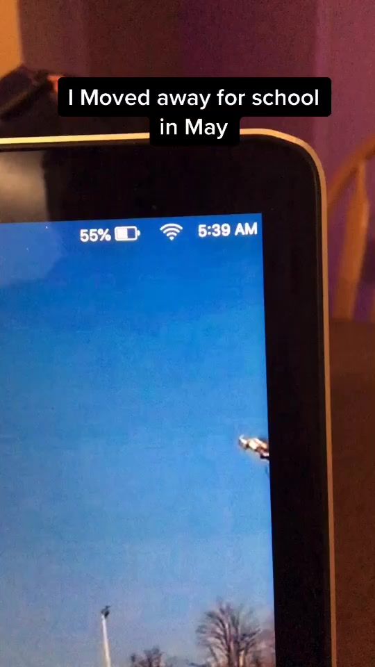 TikTok video thumbnail by itsconnorroy