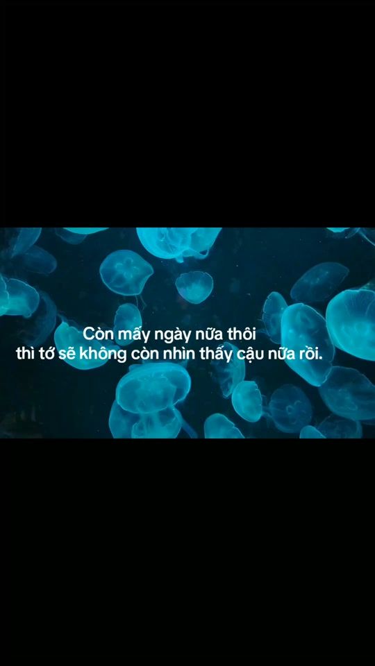 TikTok video thumbnail by xizuaii_w