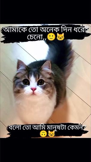 TikTok video thumbnail by moon_walker2007