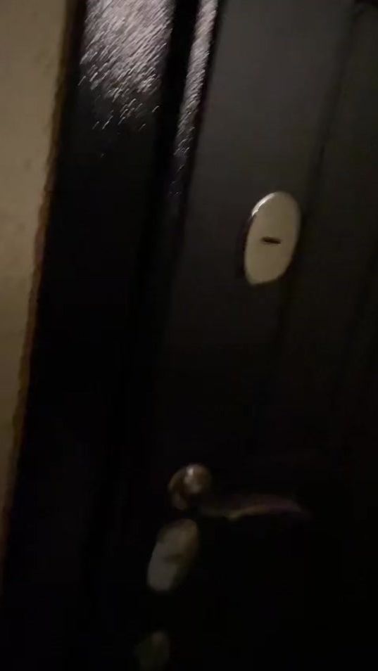 TikTok video thumbnail by jackrussellbestjack