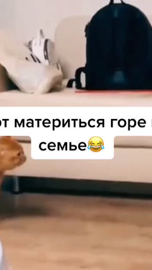 TikTok video thumbnail by antonverma