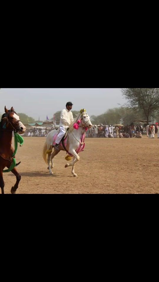 TikTok video thumbnail by shamrozgujjar58