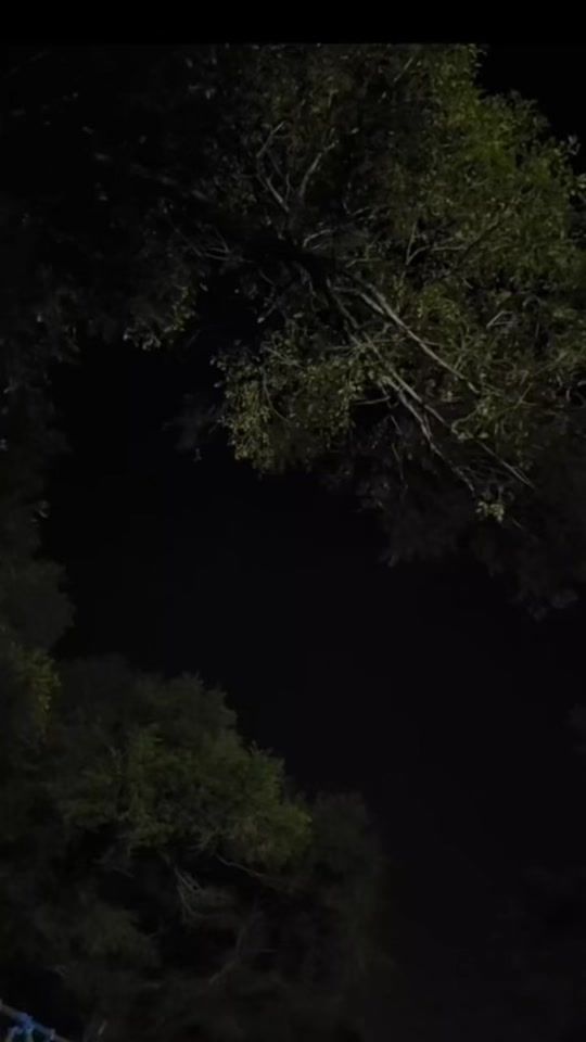 TikTok video thumbnail by no.li7