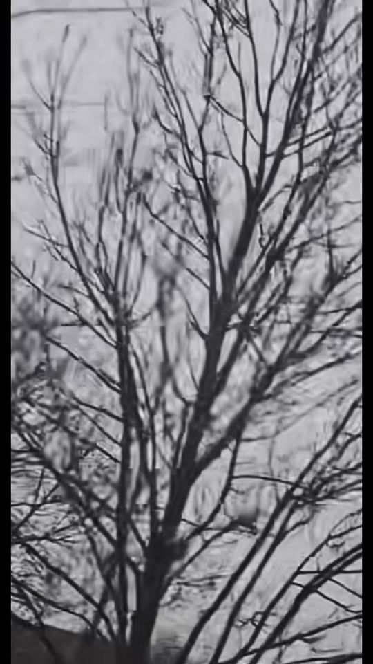 TikTok video thumbnail by r2iian