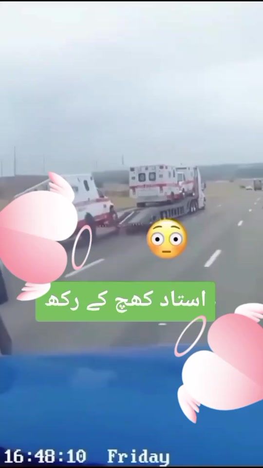 TikTok video thumbnail by janinawab1539l