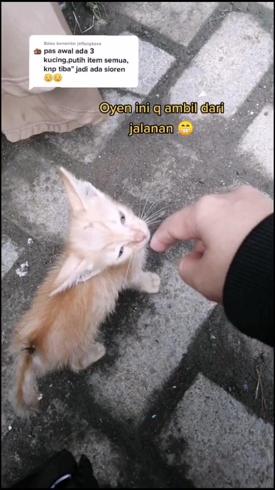 TikTok video thumbnail by litamfaridah93