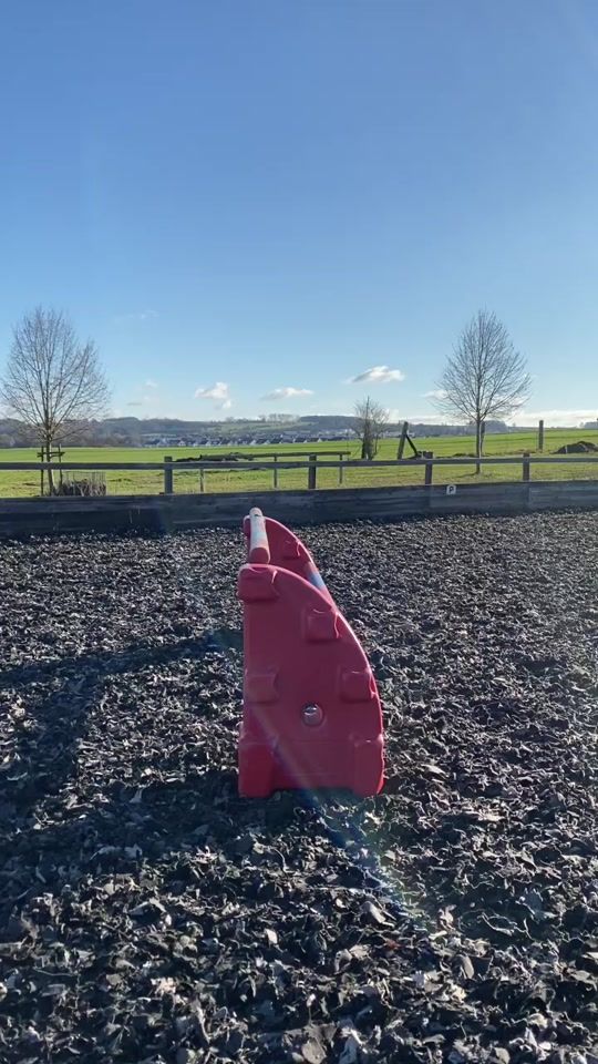 TikTok video thumbnail by showjumpinghorse_cessy