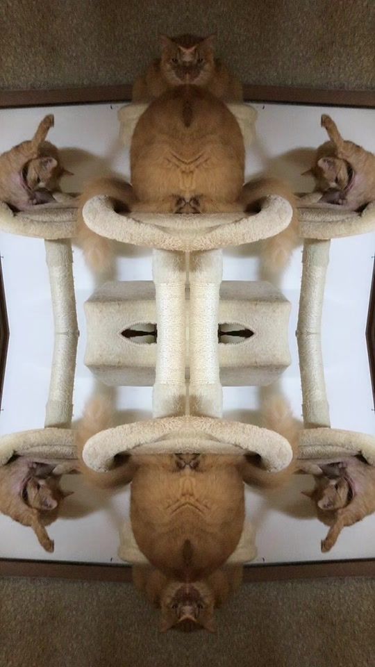 TikTok video thumbnail by t.1107.t