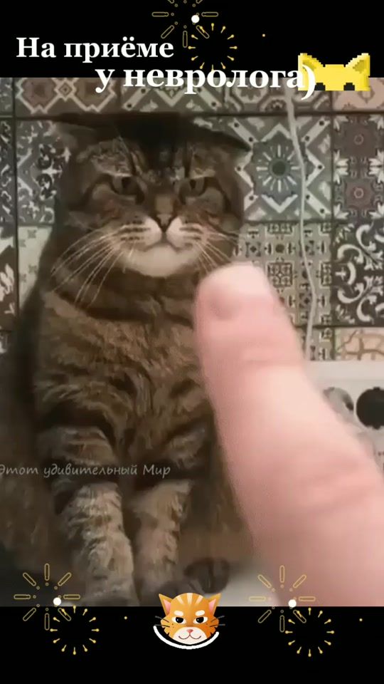 TikTok video thumbnail by mariamurinbasarova