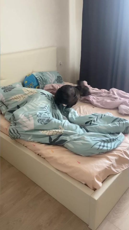 TikTok video thumbnail by frenchman_butch