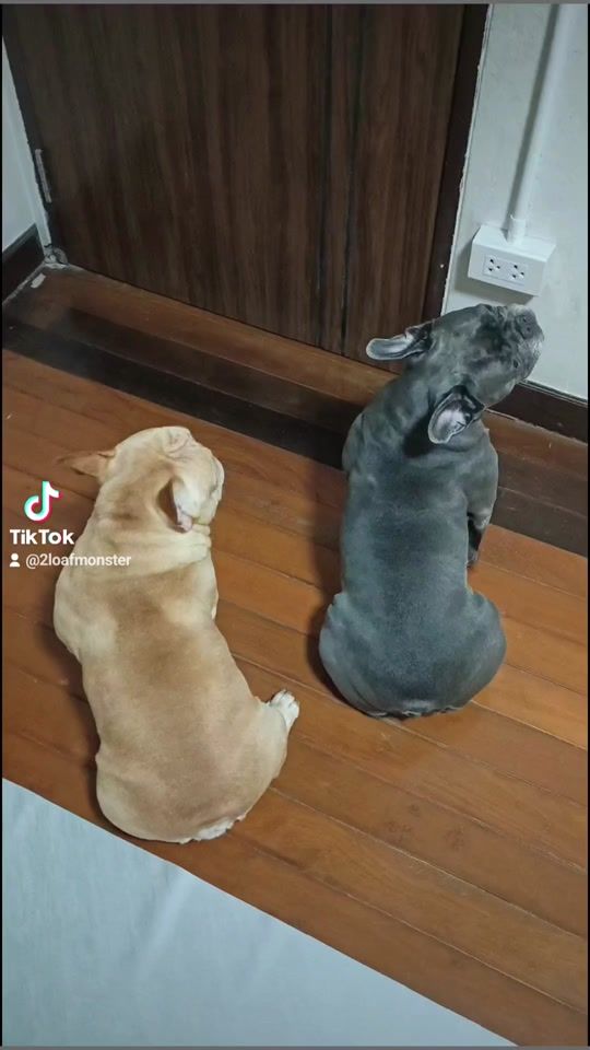 TikTok video thumbnail by m_n_m_nst_r