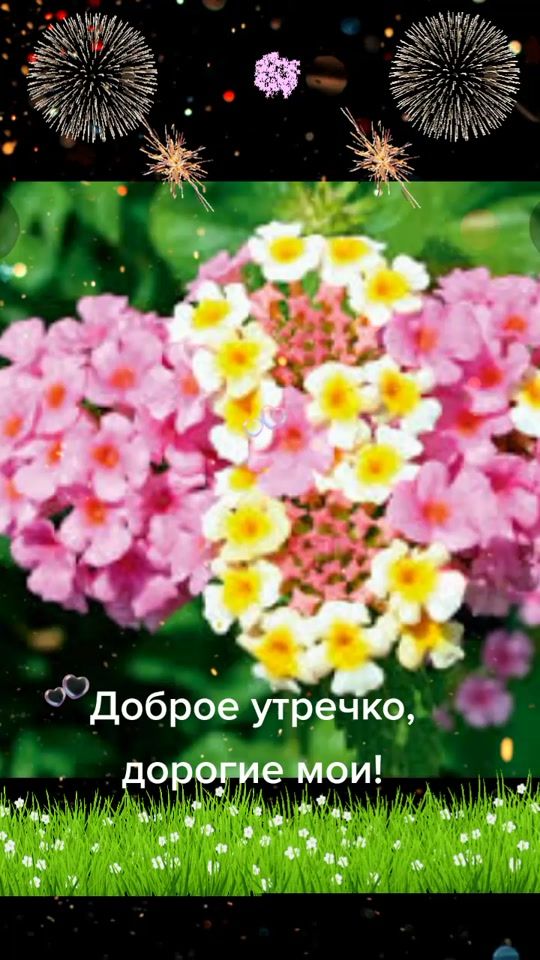 TikTok video thumbnail by masha1952