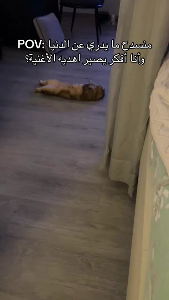 TikTok video thumbnail by leo.thecat5