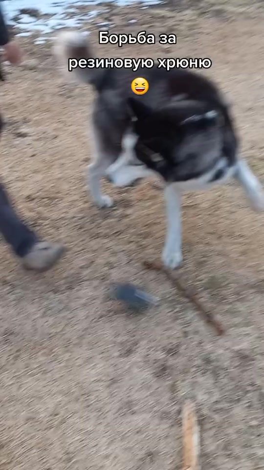 TikTok video thumbnail by mizgir_1