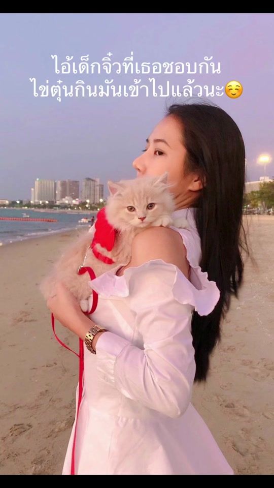 TikTok video thumbnail by maywa26