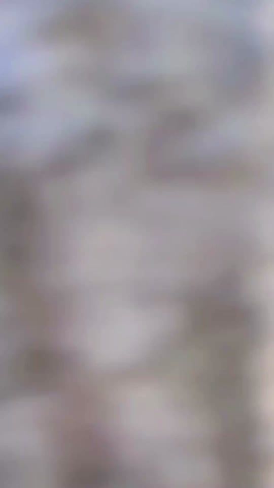 TikTok video thumbnail by priyankapooja70
