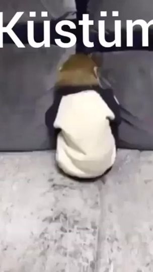 TikTok video thumbnail by mirayogul08
