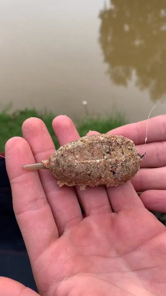 TikTok video thumbnail by fishingstuff17