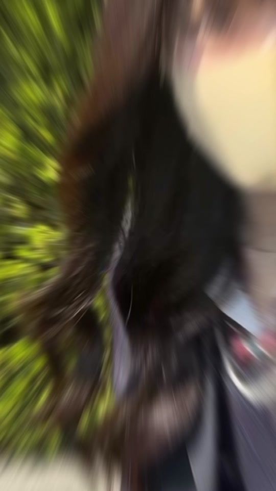 TikTok video thumbnail by _ss__123