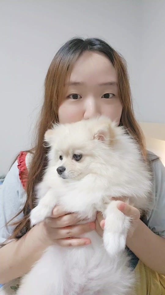 TikTok video thumbnail by jiyi_ze