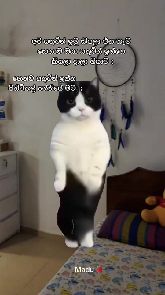 TikTok video thumbnail by nadushii0