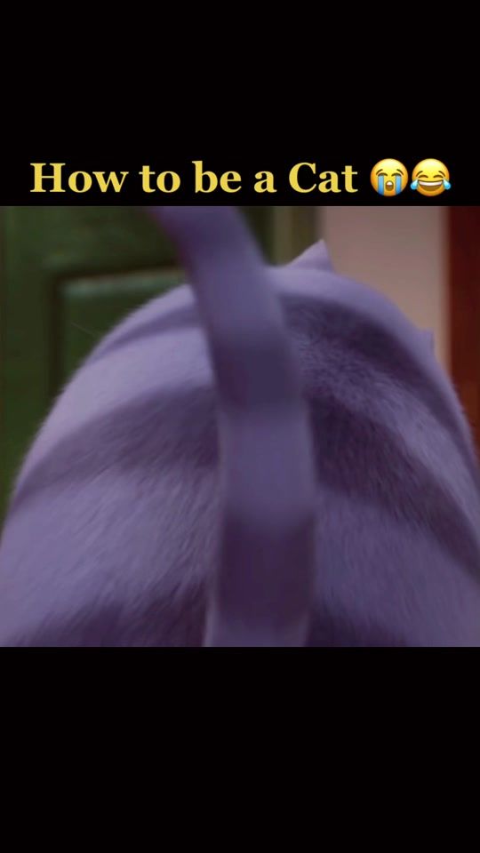 TikTok video thumbnail by albertbrissen