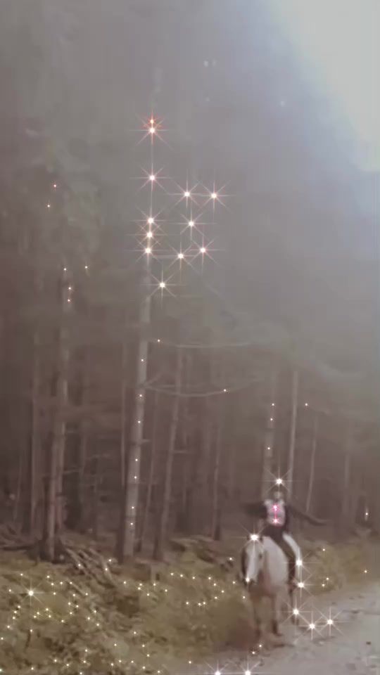 TikTok video thumbnail by _equineedits