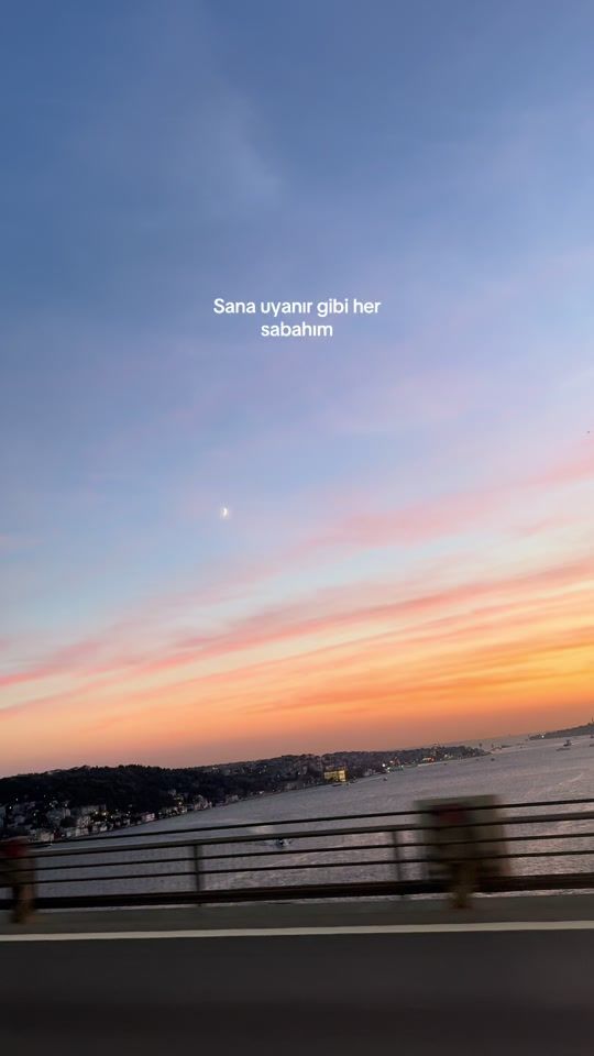 TikTok video thumbnail by ayl3973_