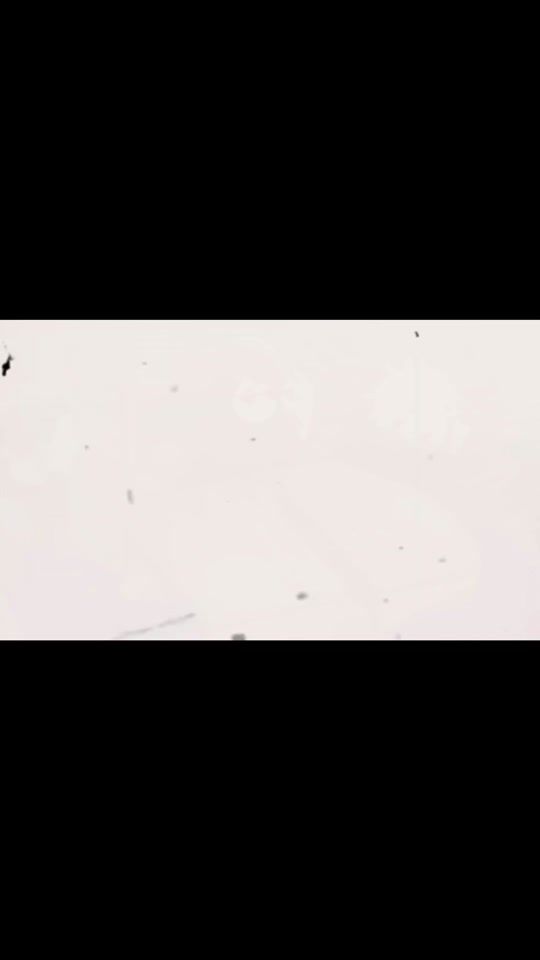 TikTok video thumbnail by shrkyduw