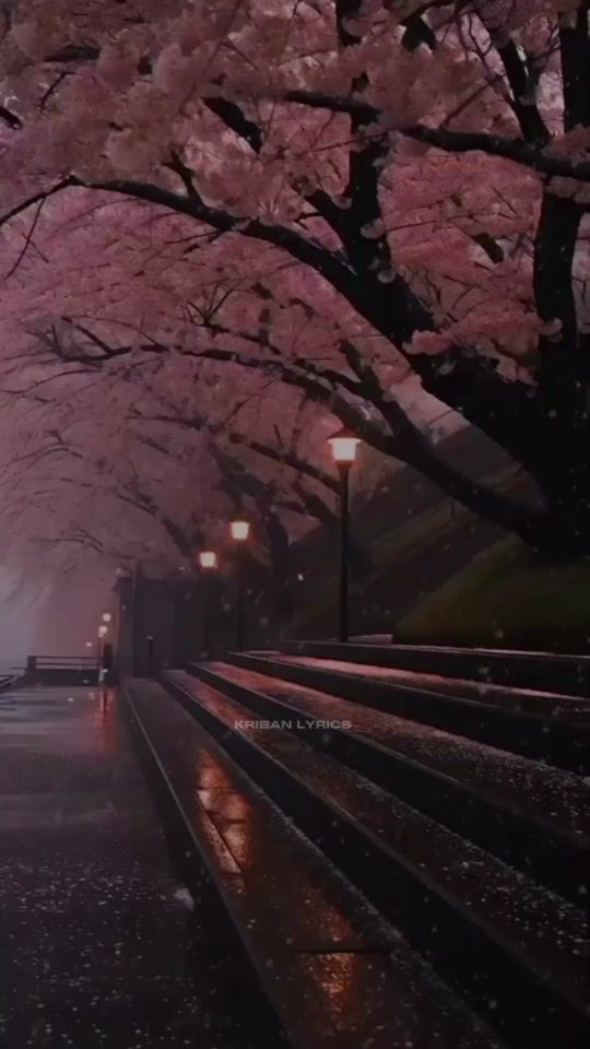 TikTok video thumbnail by kribanlyrics