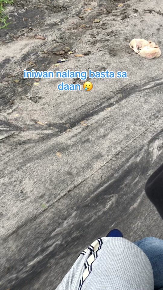TikTok video thumbnail by congwest