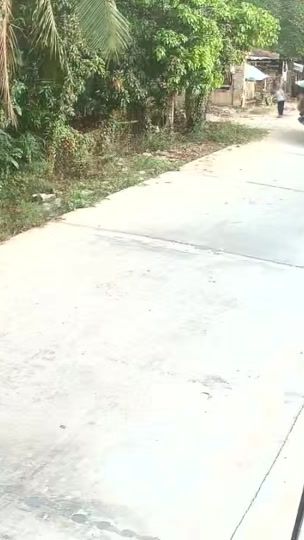TikTok video thumbnail by vanavin