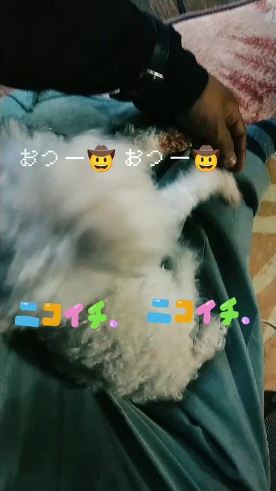 TikTok video thumbnail by tatuya0713
