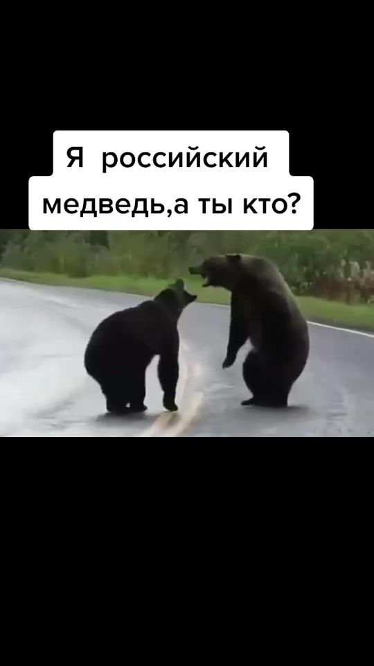 TikTok video thumbnail by sever.196