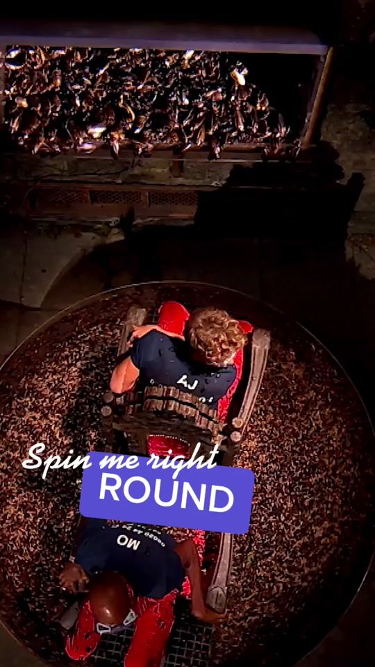 TikTok video thumbnail by imacelebrity