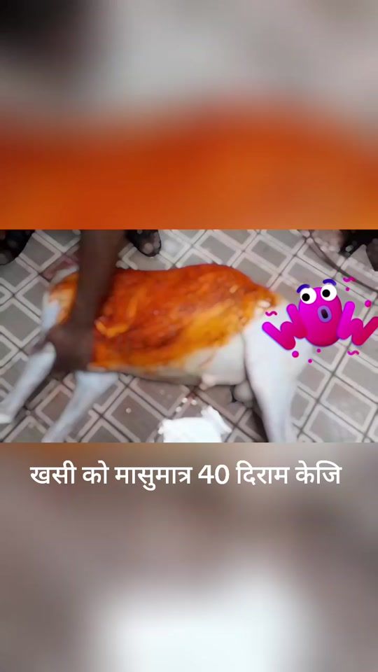 TikTok video thumbnail by al.ghioum.grocery