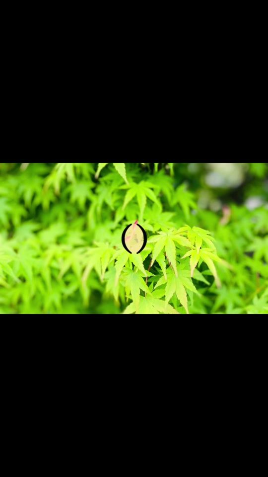 TikTok video thumbnail by h.t.h108