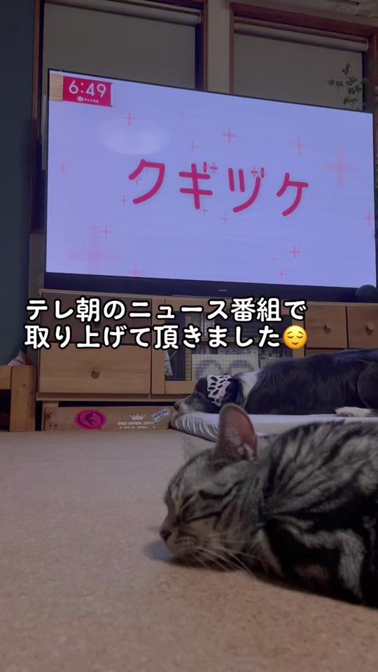 TikTok video thumbnail by sora07300