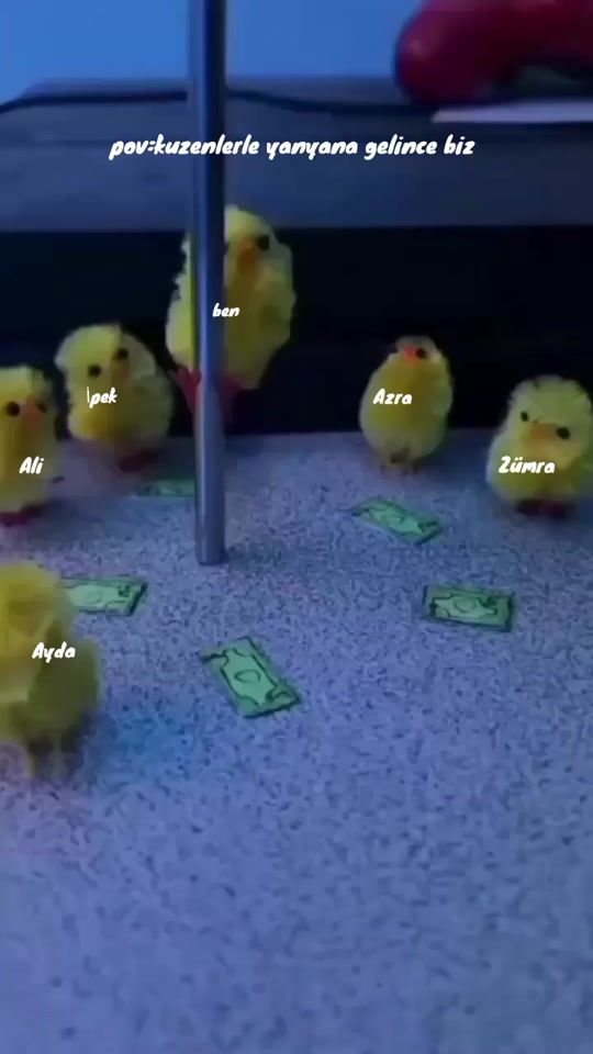 TikTok video thumbnail by buglemmisimm18