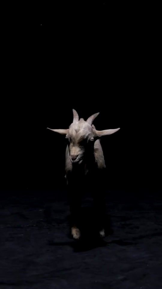 TikTok video thumbnail by luka__g