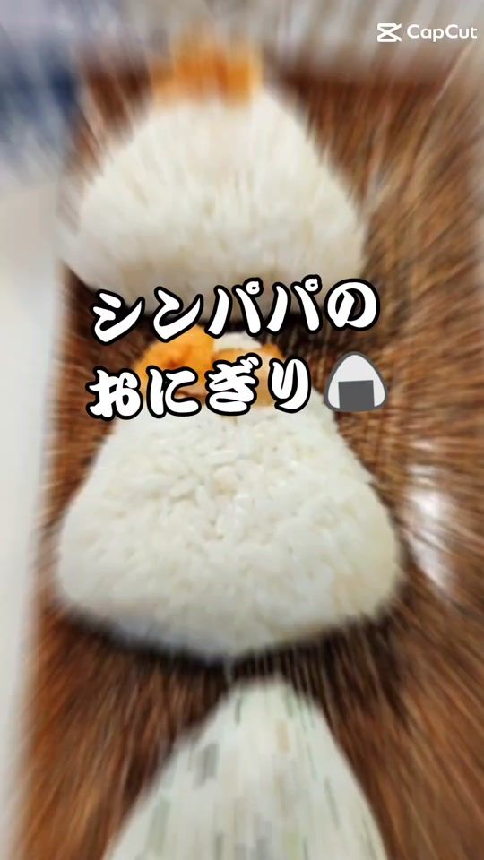 TikTok video thumbnail by simasanta01
