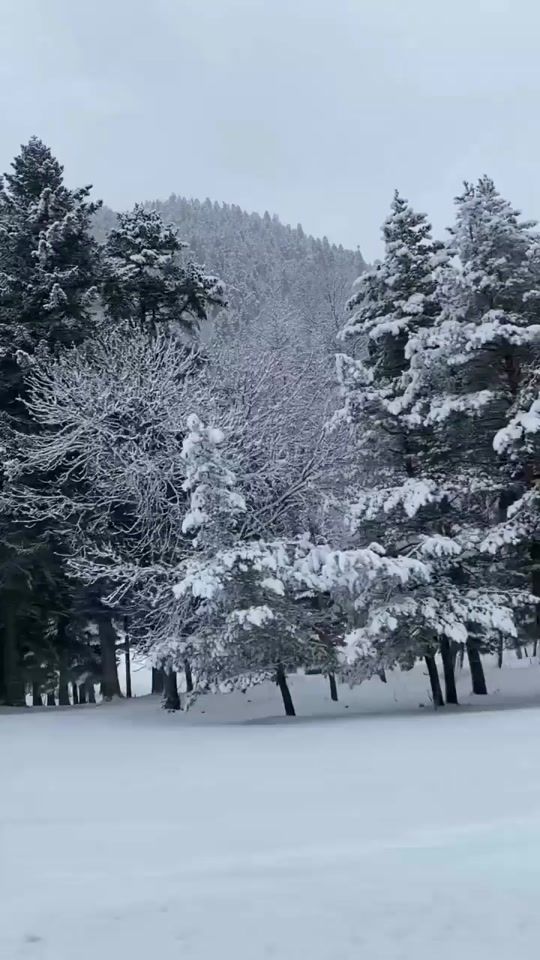 TikTok video thumbnail by narkottik05