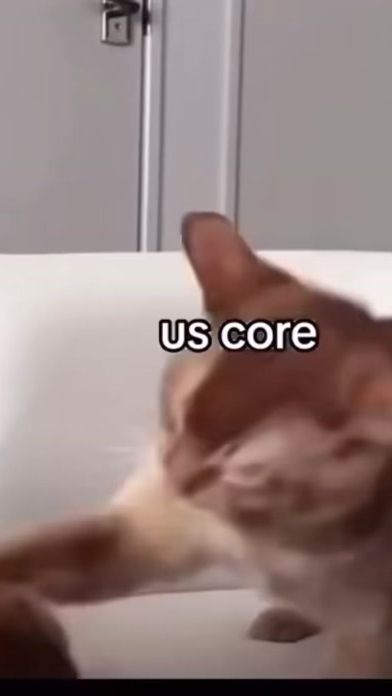 TikTok video thumbnail by laya19002