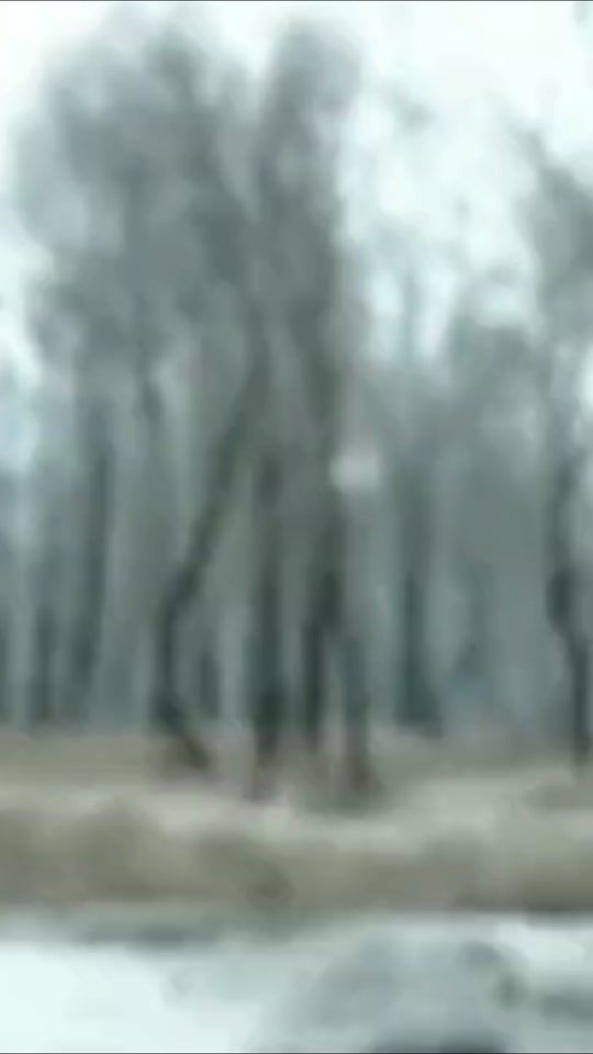 TikTok video thumbnail by sonyavarman