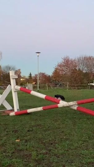 TikTok video thumbnail by luna.cxnnxr