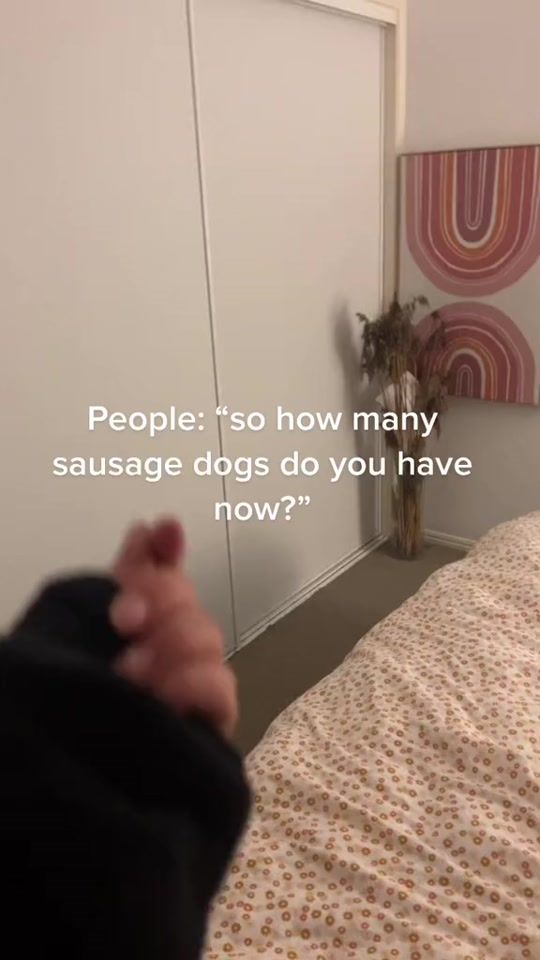 TikTok video thumbnail by asnagsworld