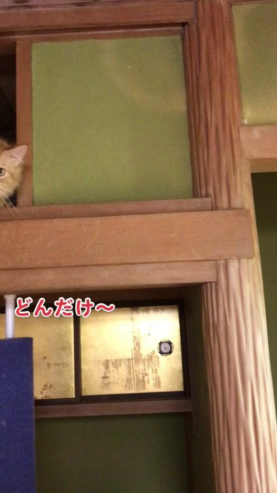 TikTok video thumbnail by t.1107.t