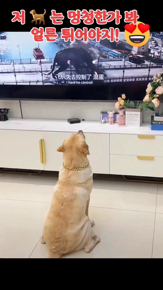 TikTok video thumbnail by kjh02155